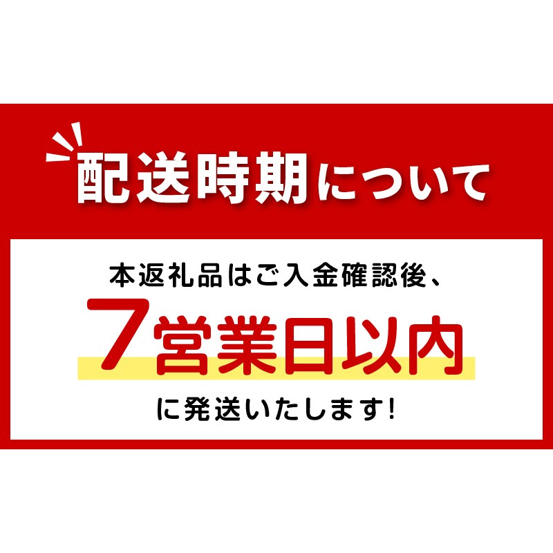 《7営業日以内に発送》国指定重要文化財「北海道常呂川河口遺跡墓坑出土品」図録【183-0001】