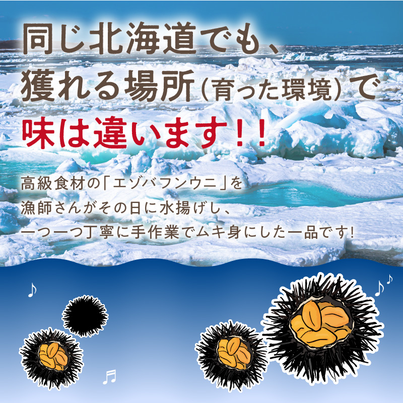 【予約：2025年4月中旬から順次発送】サロマ湖産 塩水生うに ( 海鮮 雲丹 うに ウニ 塩水 生ウニ 生うに ウニ丼 エゾバフンウニ ムキ身 高級 1パック 期間限定 )【114-0006-2025】