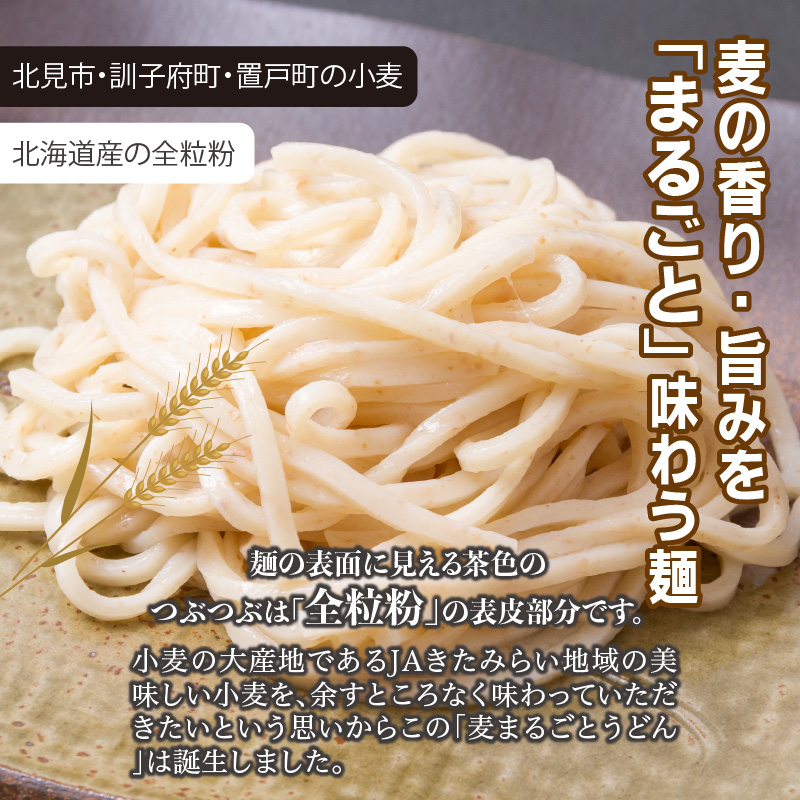 JAきたみらい「玉ねぎ醤油と麦まるごとうどんのセット」 ( 醤油 うどん 玉ねぎ 麺 )【005-0011】