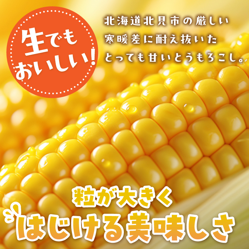 【予約：2024年9月上旬から順次発送】北海道北見市産 朝採れ ゴールドラッシュ 10本 ( 野菜 トウモロコシ とうもろこし コーン ゴールドラッシュ 採れたて 新鮮 )【164-0005】