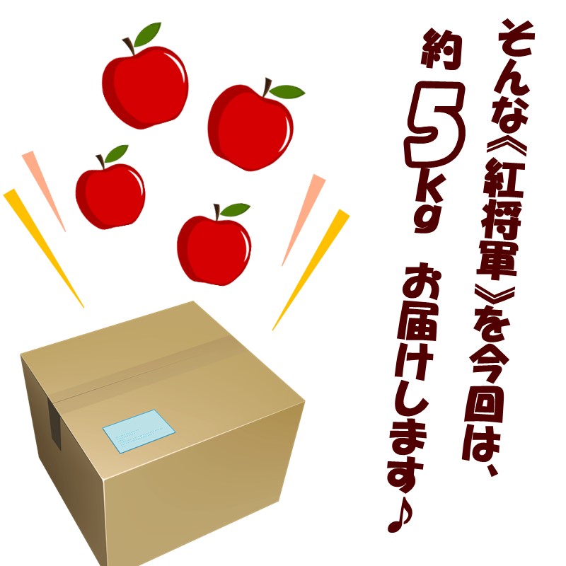 【予約：2024年10月下旬から順次発送】北海道北見市産 りんご 紅将軍 約5kg ( 果物 果実 蜜 旬 季節限定 数量限定 果肉 )【044-0007-2024】