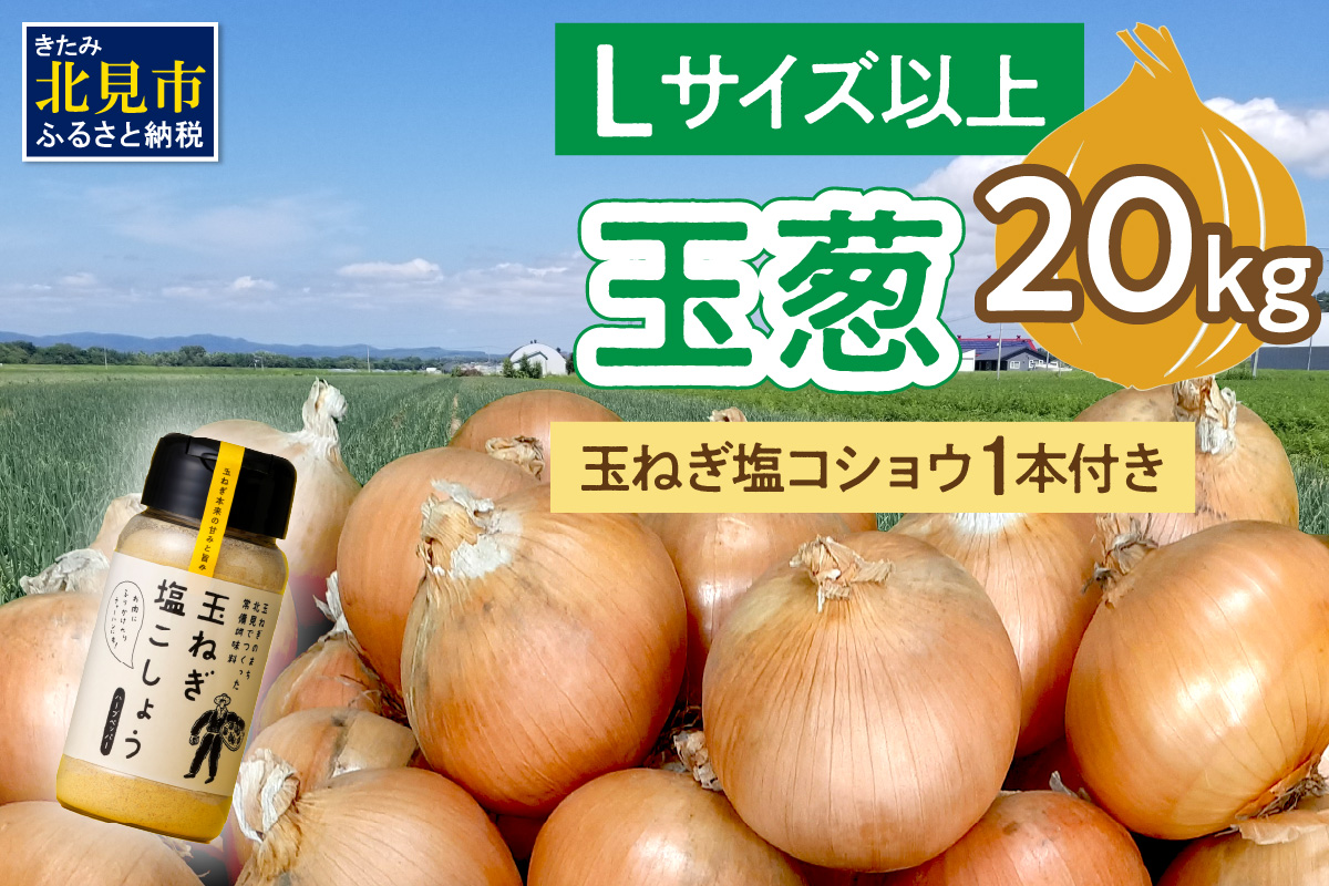 【予約：2025年11月から順次発送】玉葱 20kg Lサイズ以上 玉ねぎ塩こしょう 1本付き ( タマネギ 玉葱 野菜 調味料 塩コショウ )【148-0013-2025】