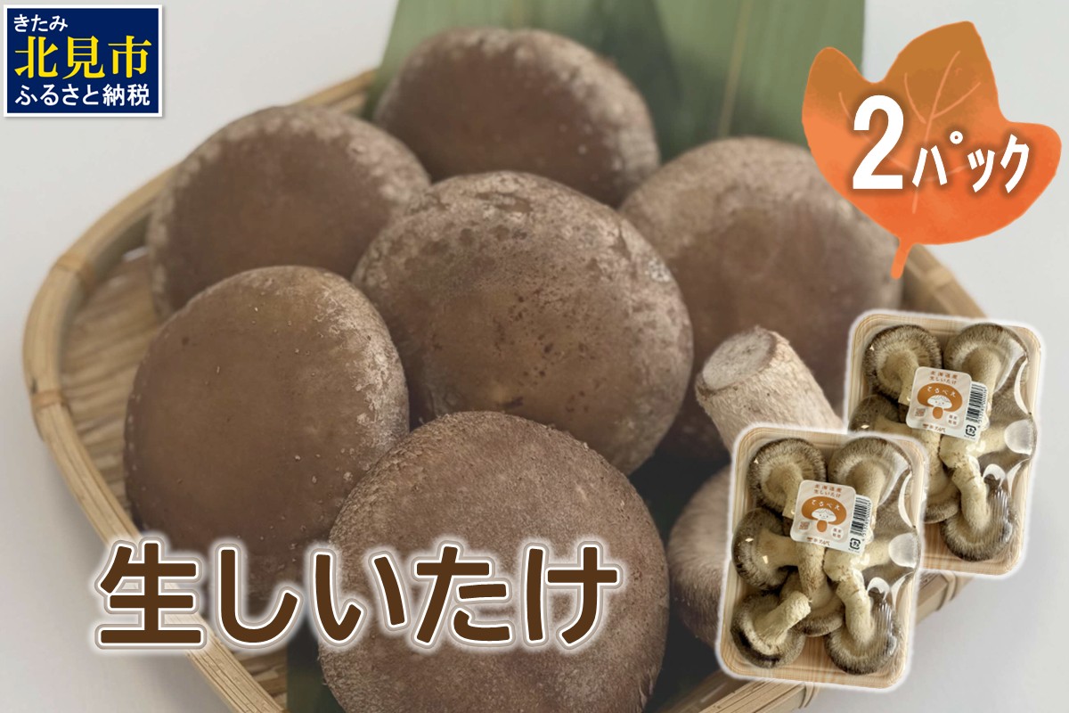 北海道産 生しいたけ(菌床) 2パック ( きのこ キノコ 椎茸 シイタケ )【038-0006】