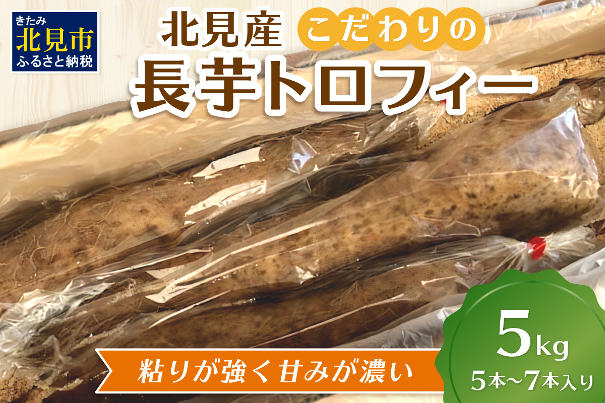 【予約：2026年11月下旬から順次発送】北見産 こだわりの長芋トロフィー 5kg箱 ( 長いも ながいも 野菜 数量限定 期間限定 5キロ )【169-0001-2026】