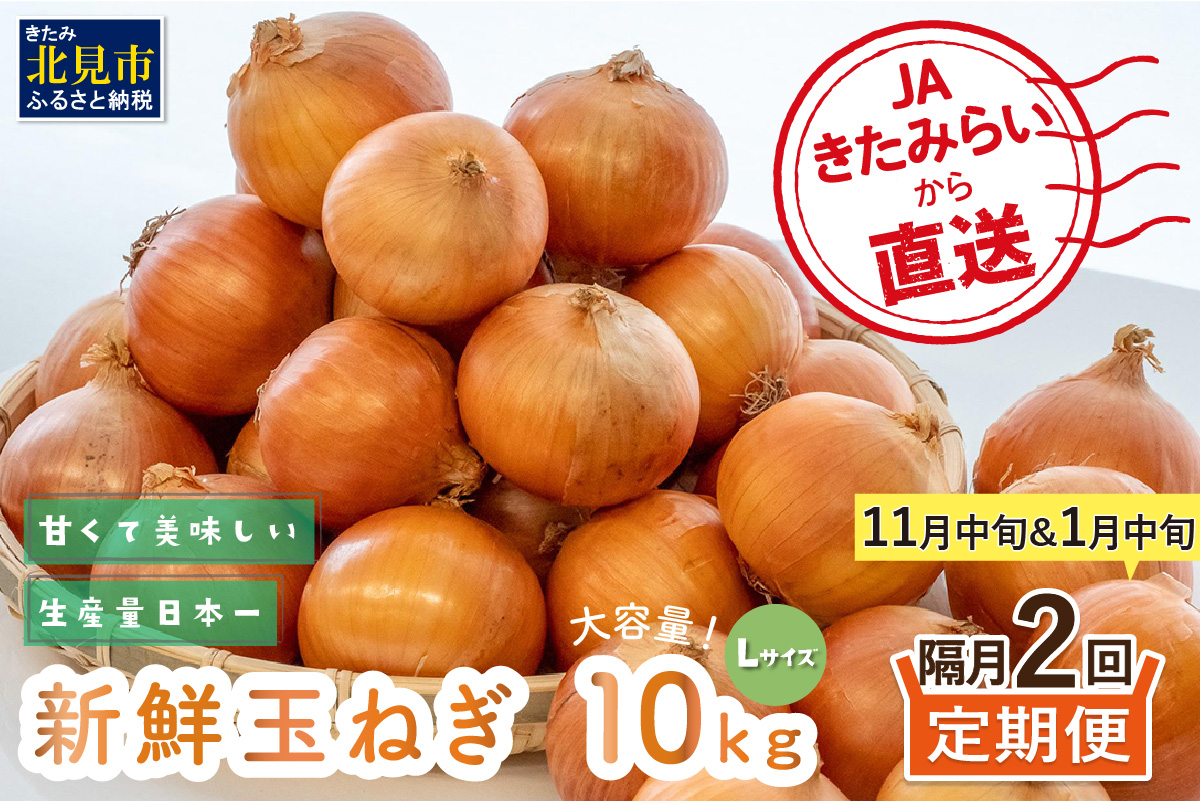 ☆L玉隔月定期便(11月・1月)☆JAきたみらいから直送する新鮮玉ねぎ 10kg(L)×2回 ( 野菜 定期便 玉葱 たまねぎ 期間限定 )【999-0118-2025】
