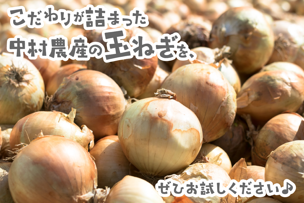 【予約：2026年10月から順次発送】北海道北見産 玉ねぎ 20kg ( 玉ねぎ 野菜 たまねぎ タマネギ 玉葱 甘い 20キロ ハンバーグ 肉じゃが ふるさと納税 玉ねぎ )【002-0005-2026】