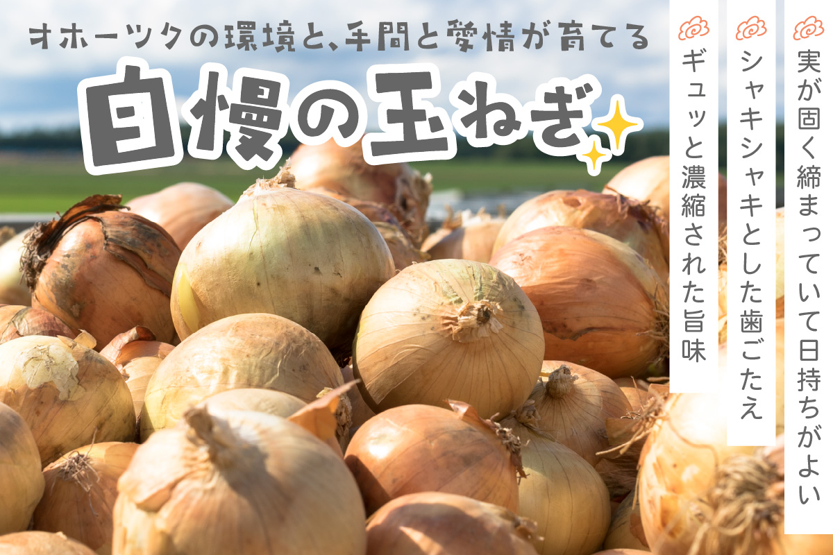 【予約：2026年10月から順次発送】北海道北見産 玉ねぎ 20kg ( 玉ねぎ 野菜 たまねぎ タマネギ 玉葱 甘い 20キロ ハンバーグ 肉じゃが ふるさと納税 玉ねぎ )【002-0005-2026】