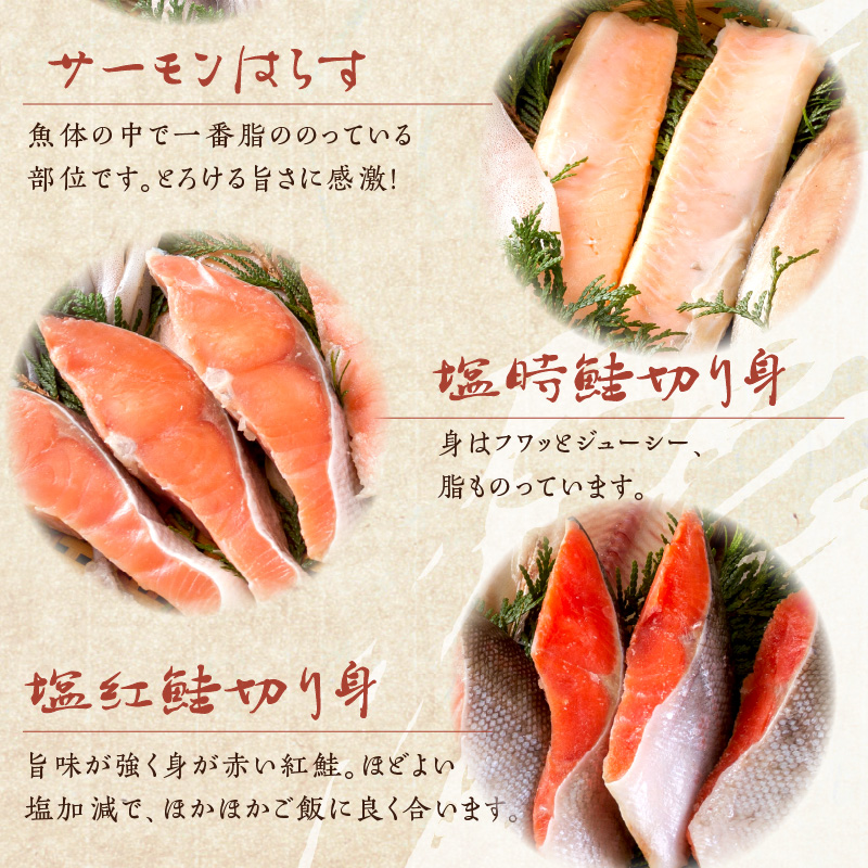 縲14蝟カ讌ュ譌・莉・蜀縺ォ逋コ騾√玖飴髟キ閾ェ諷「縺ョ豬キ魄ョ繧サ繝繝 ( 豬キ魄ョ繧サ繝繝 豬キ魄ョ 鬲壻サ矩。 繝帙ャ繧ア 繝翫Γ繧ソ繧ャ繝ャ繧、 縺縺 繧オ繝シ繝「繝ウ 魄ュ 譎るョュ 邏魄ュ )縲114-0065縲