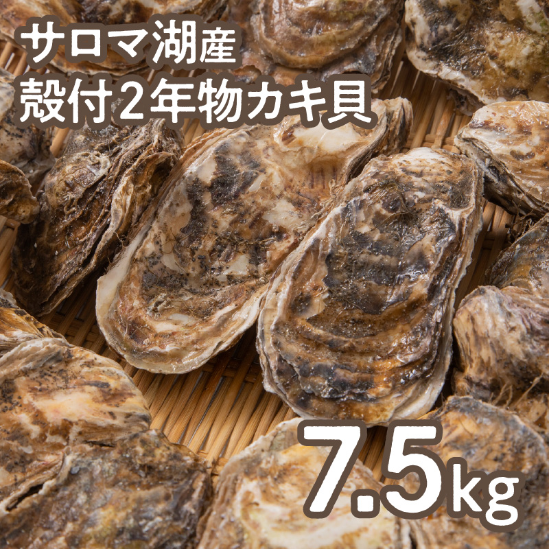 ãäºçŽïŒ2025幎10æããé æ¬¡çºéããã«ããã€ãä»ãæµ·ã®ãã«ã¯ãµããæ¹ç£æ®»ä»2幎ç©ã«ãè² 7.5kg 60ïœ75åå
¥ ( éä»é¡ æµ·é®® éä» ç¡è £ ãã ã«ã )ã031-0019ã