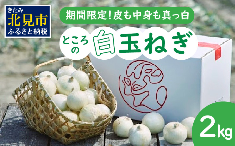 【予約：2026年7月中旬から順次発送】ところの白玉ねぎ 2kg ( 玉ねぎ タマネギ 玉葱 野菜 白玉ねぎ 2キロ 期間限定 辛みが少ない 生食 )【121-0013-2026】