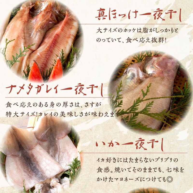 縲14蝟カ讌ュ譌・莉・蜀縺ォ逋コ騾√玖飴髟キ閾ェ諷「縺ョ豬キ魄ョ繧サ繝繝 ( 豬キ魄ョ繧サ繝繝 豬キ魄ョ 鬲壻サ矩。 繝帙ャ繧ア 繝翫Γ繧ソ繧ャ繝ャ繧、 縺縺 繧オ繝シ繝「繝ウ 魄ュ 譎るョュ 邏魄ュ )縲114-0065縲