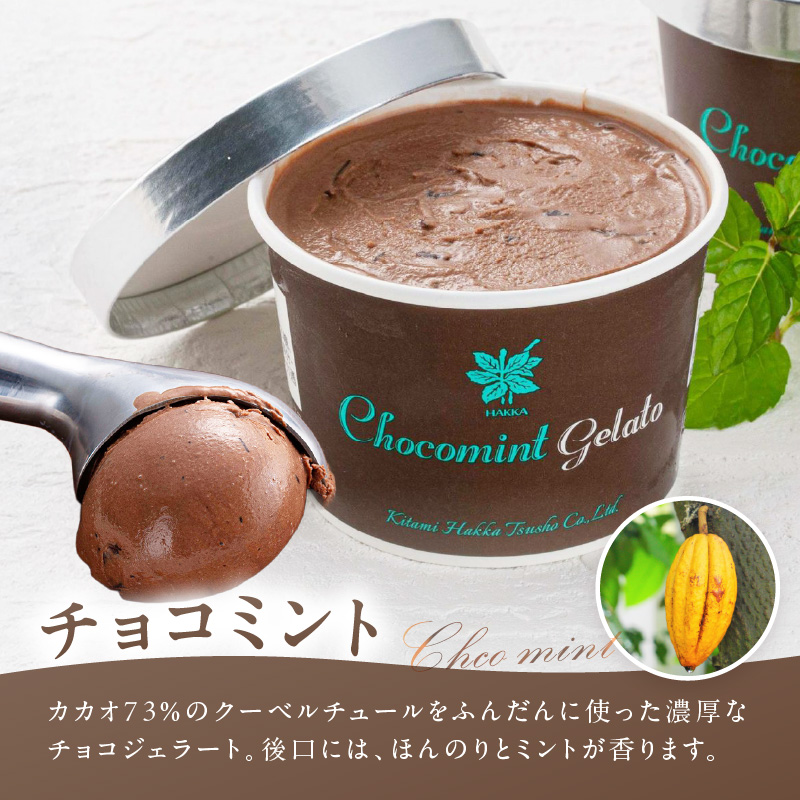 ミントジェラート カップ 3種×2個 ( ジェラート アイス アイスクリーム ハッカ チョコ ミント ミントアイス スイーツ チョコチップミント カカオ カップアイス ふるさと納税 )【007-0010】