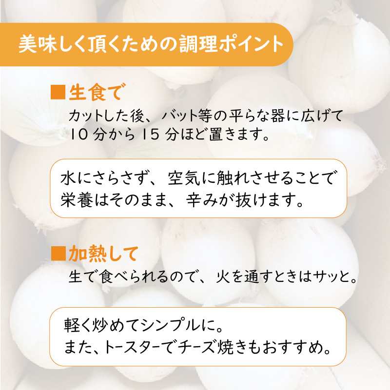 【予約：2026年7月中旬から順次発送】ところの白玉ねぎ 5kg ( 玉ねぎ タマネギ 玉葱 野菜 白玉ねぎ 5キロ 期間限定 辛みが少ない 生食 )【121-0005-2026】