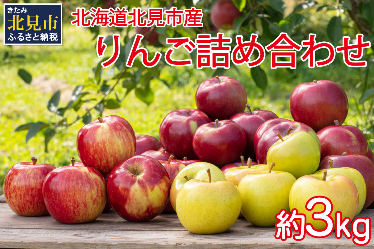 【予約：2026年10月から順次発送】季節のりんご詰め合わせ 3kg ( りんご リンゴ 林檎 詰合せ 3kg 旭 つがる 黄王 レッドゴールド ジョナゴールド 昴林 森の輝き 王林 ふじ )【044-0002-2026】