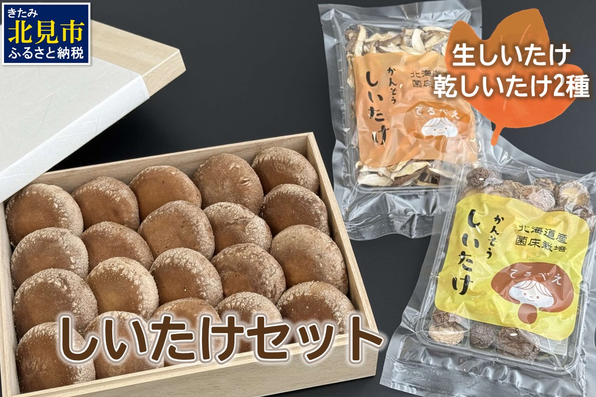 【木箱入】北海道産 生しいたけ(菌床) 乾しいたけ(ひと口・スライス)セット ( きのこ キノコ 椎茸 シイタケ )【038-0008】