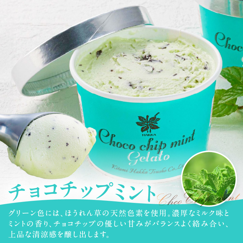 ミントジェラート カップ 3種×2個 ( ジェラート アイス アイスクリーム ハッカ チョコ ミント ミントアイス スイーツ チョコチップミント カカオ カップアイス ふるさと納税 )【007-0010】