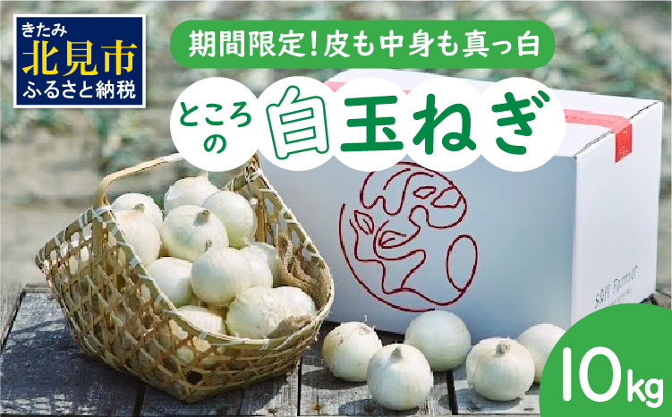 【予約：2026年7月中旬から順次発送】ところの白玉ねぎ 10kg ( 玉ねぎ タマネギ 玉葱 野菜 白玉ねぎ 10キロ 期間限定 辛みが少ない 生食 )【121-0008-2026】