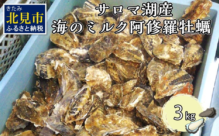 【予約：2026年10月中旬から順次発送】サロマ湖産 海のミルク 阿修羅牡蠣 3kg ( 期間限定 新鮮 生食 生ガキ カキ かき 3キロ 道産 オホーツク海産 海鮮 魚介類 貝類 生 )【031-0014-2026】