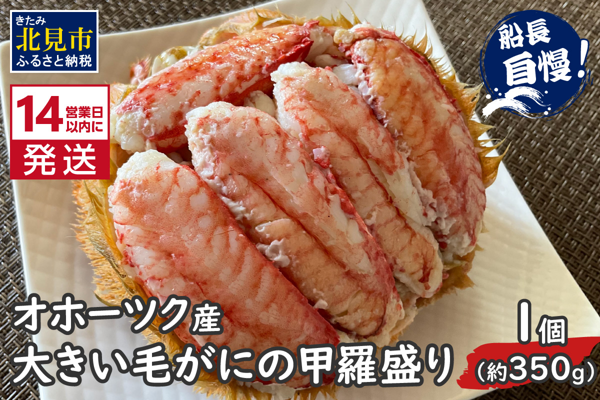 《14営業日以内に発送》オホーツク産 大きい毛がにの甲羅盛り 1個入り 冷凍 ( 毛がに かに カニ 蟹 魚介類 北海道 旨い逸品 チーズ グラタン オホーツク海 )【114-0040】