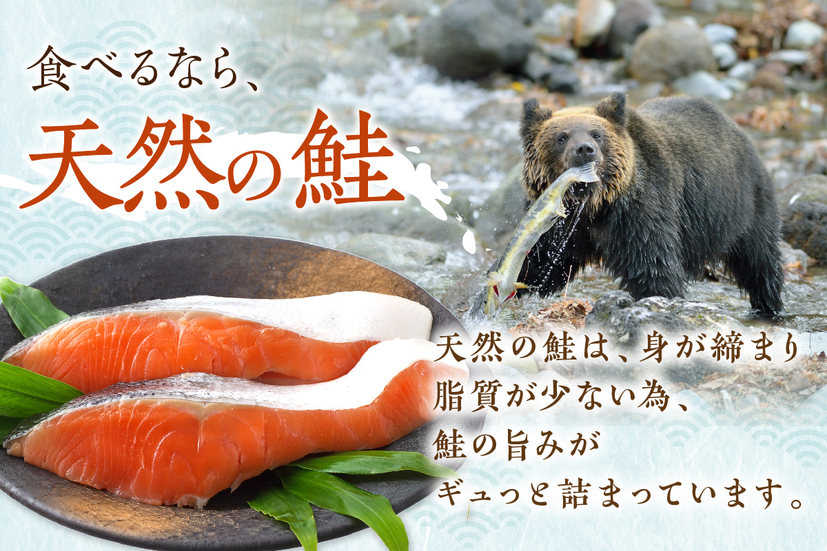 åæµ·éç£ æ°å·»é®ïŒãªã¹ïŒå身ã»ãã 4ãã㯠( æµ·é®® éä» éä»é¡ é é® ãµã± ãã ããã ãµãŒã¢ã³ å³ä»ã å身 åã身 çå¡© æç ç°¡å ç空 ãã㯠ã»ãã èŽç èŽãç© ã®ãã ãã¬ãŒã³ã ãäžå
ãæ³æ® ãç¥ã )ã017-0018ã