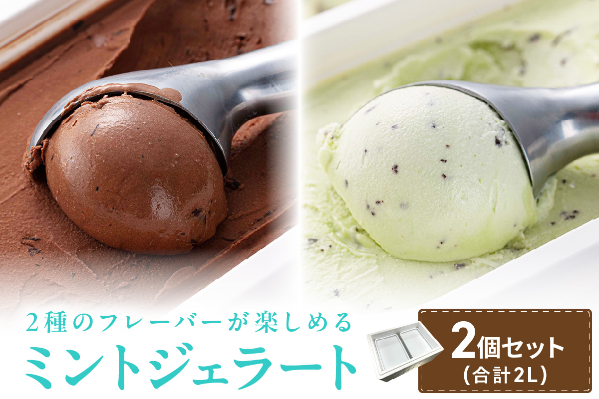 ミントジェラート1L 2種×1個 ( ジェラート アイス アイスクリーム ハッカ チョコ ミント ミントアイス スイーツ チョコチップミント カカオ ふるさと納税 )【007-0017】