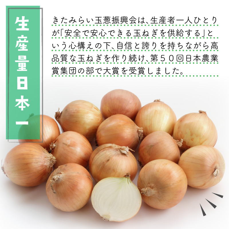 ☆L玉隔月定期便(1月・3月)☆JAきたみらいから直送する新鮮玉ねぎ 10kg(L)×2回 ( 野菜 定期便 玉葱 たまねぎ 期間限定 )【999-0007-2025】