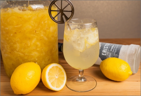 レモンサワー専門店の自家製レモンペースト ( 加工品 国産 レモン れもん ペースト レモンサワー レモネード レシピ付き )【132-0002】