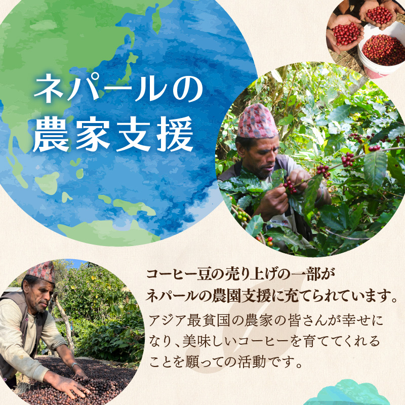 ãé£²ã¿æ¯ã¹ãèªå®¶çç
ãããŒã«ç£ã³ãŒããŒããªããããã°ã»ãã3çš®Ã5å ( çç² èªå®¶è£œ ããªãã çç
)ã166-0008ã