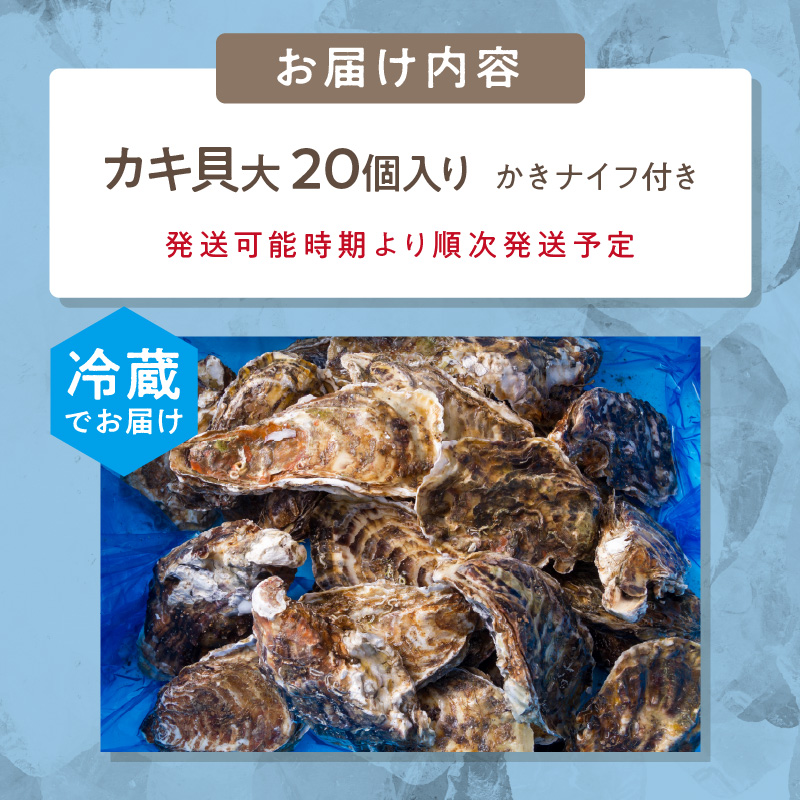 【予約：2026年11月中旬から順次発送】サロマ湖自慢の殻付きカキ貝 2年物 大 20個 ( 牡蠣 かき 濃厚 大きい 魚介類 貝類 殻付 殻付き牡蠣 BBQ バーベキュー )【114-0045-2026】