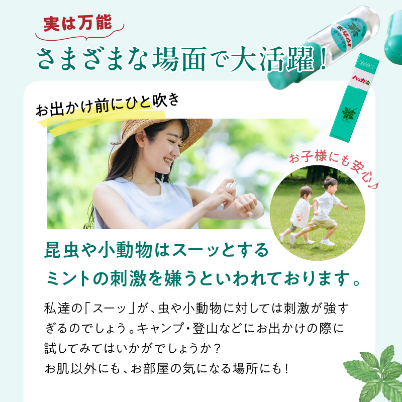 ハッカ油スプレー11.5ml 1本と詰替リフィル1本 ( ミント スプレー 消臭スプレー 携帯用 詰替え 薄荷 消臭 リフィル 爽快 アロマオイル 天然由来 マスク ハンカチ 爽快感 キャンプ ゴルフ 釣り アウトドア )【007-0047】