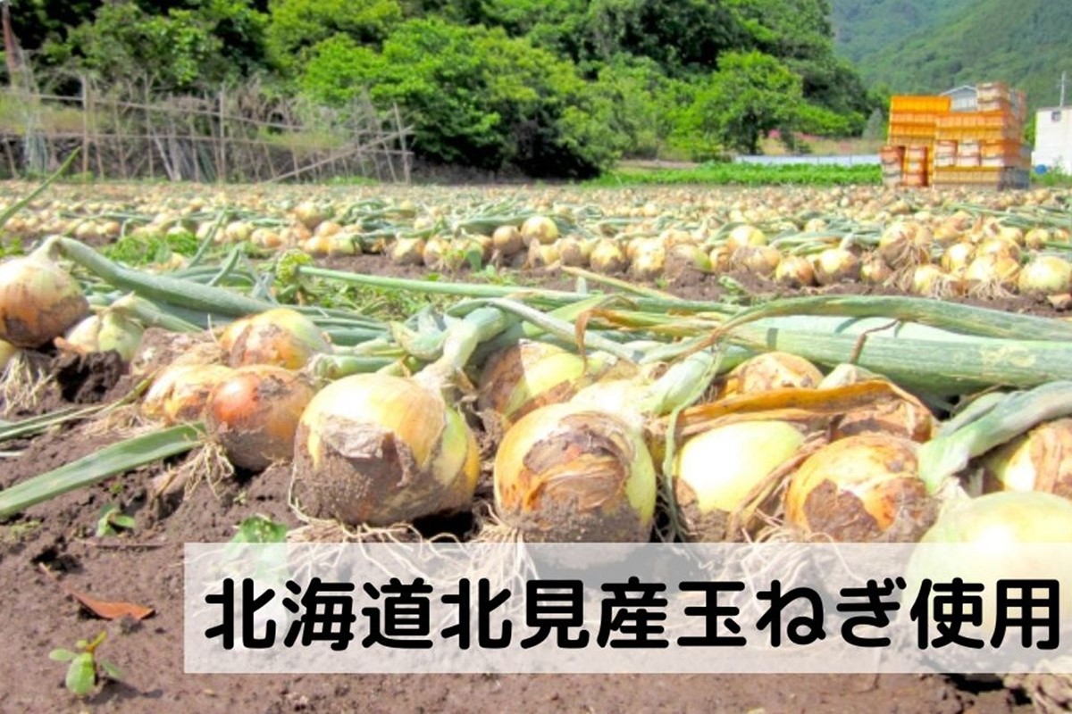 《7営業日以内に発送》大地の恵み北海道オニオンスープ 4袋×1箱 ( 玉ねぎ スープ たまねぎ 小分け オニオン ふるさと納税 即席 簡単 粉末 調味料 )【125-0001】