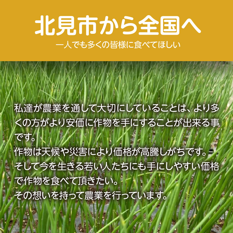 【予約：2026年10月下旬から順次発送】北見産玉ねぎ 20kg ( 機能性玉葱 サイズバラ 玉ねぎ たまねぎ タマネギ 玉葱 オニオン 野菜 北海道 長期貯蔵 )【133-0002-2026】