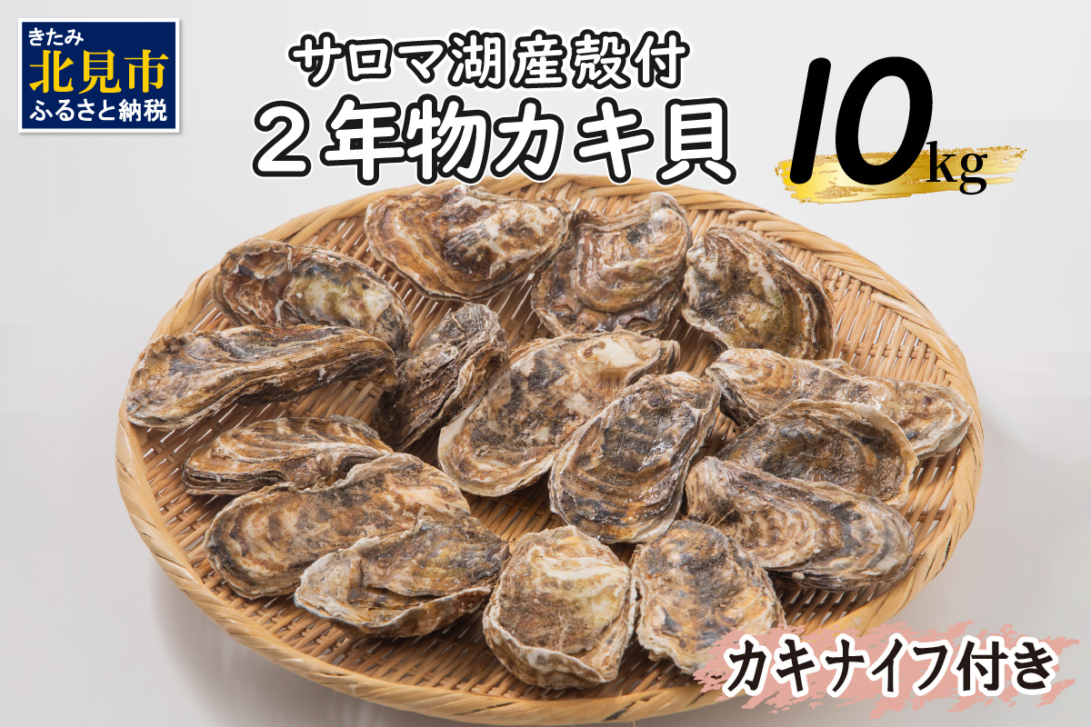 【予約：2025年10月より順次発送】【カキナイフ付】海のミルクサロマ湖産殻付2年物カキ貝 10kg 80～100個入 ( 海鮮 魚介類 貝 お歳暮 お祝い BBQ )【031-0020】