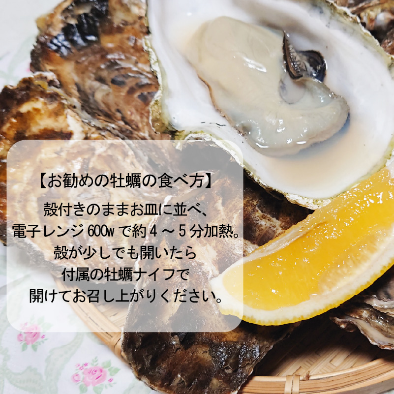 【予約：2026年10月下旬から順次発送】サロマ湖産 殻付き2年牡蠣 4.2kg サイズ不揃い ※牡蠣ナイフ付 ( カキ かき 4.2キロ 魚介 海鮮 貝 ふるさと納税 BBQ バーベキュー )【113-0014-2026】