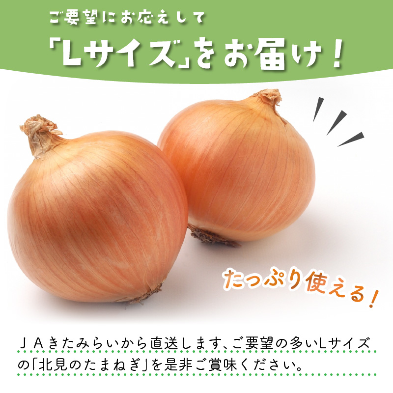 ☆L玉隔月定期便(11月・1月・3月)☆JAきたみらいから直送する新鮮玉ねぎ 10kg(L)×3回 ( 野菜 定期便 玉葱 たまねぎ )【999-0014-2025】