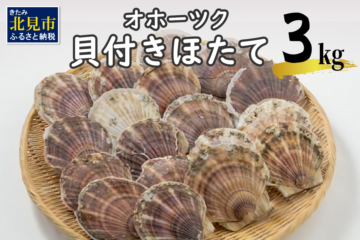 オホーツク貝付きほたて 3kg(15枚～25枚)( 海鮮 魚介 魚介類 貝 貝類 ホタテ ほたて 帆立 殻付き 貝柱 贈答 ギフト 贈り物 お中元 お祝い BBQ バーベキュー )【031-0012】