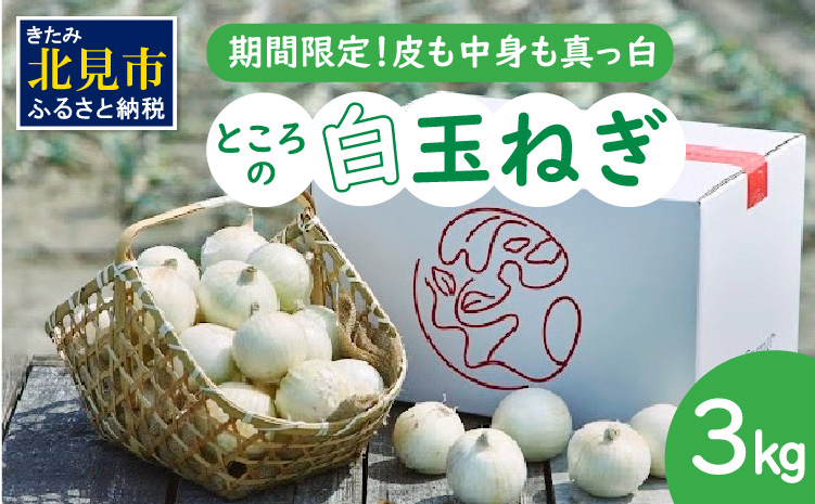 【予約：2026年7月中旬から順次発送】ところの白玉ねぎ 3kg ( 玉ねぎ タマネギ 玉葱 野菜 白玉ねぎ 3キロ 期間限定 辛みが少ない 生食 )【121-0003-2026】
