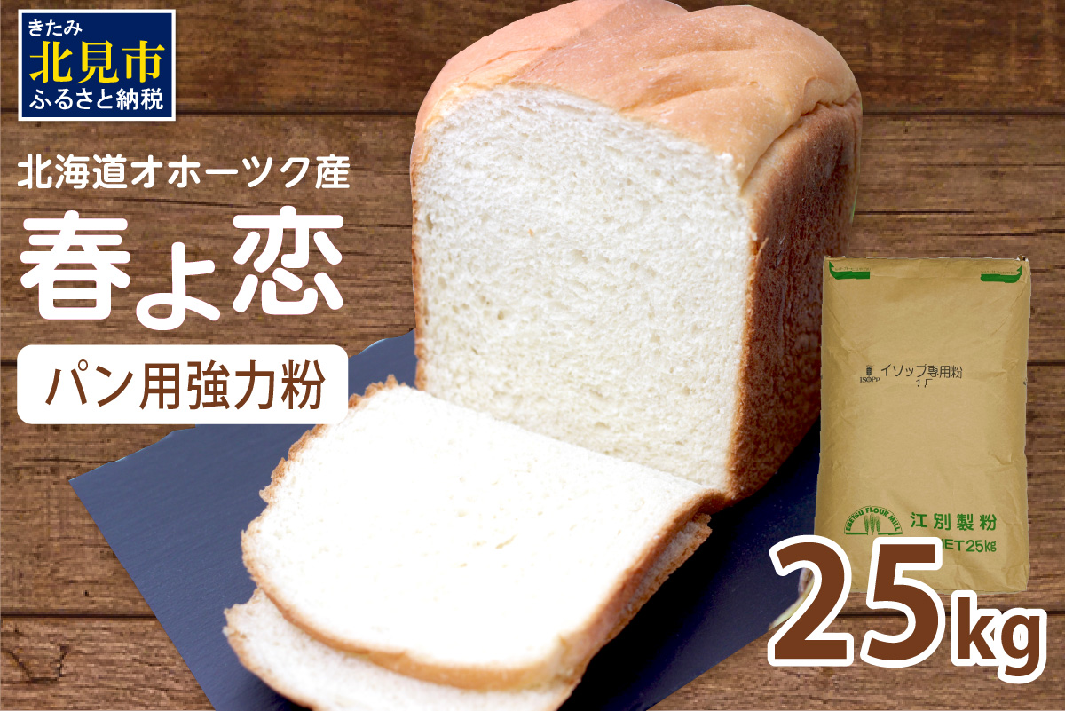 【北海道オホーツク産】パン用強力粉 春よ恋 25kg ※賞味期限30日保証 ( パン用強力粉 北海道産 小麦粉 パン 製パン )【056-0016】