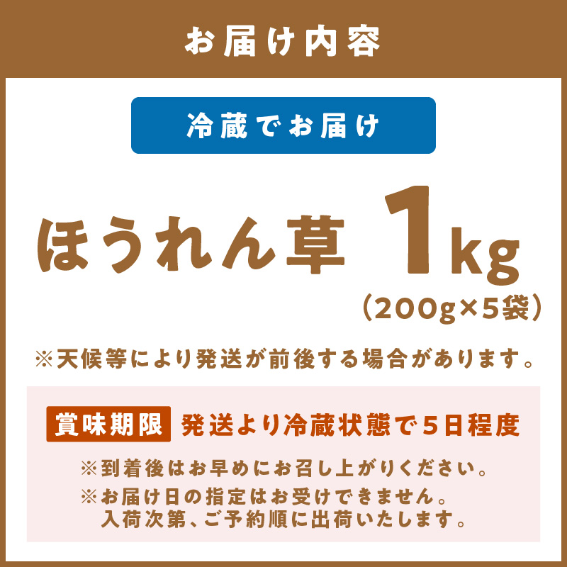 【予約：2026年6月中旬から順次発送】北海道北見産 朝採れ ほうれん草 1kg 200g×5袋 ( 新鮮 採れたて ホウレンソウ ほうれんそう ハウス栽培 )【164-0008-2025】