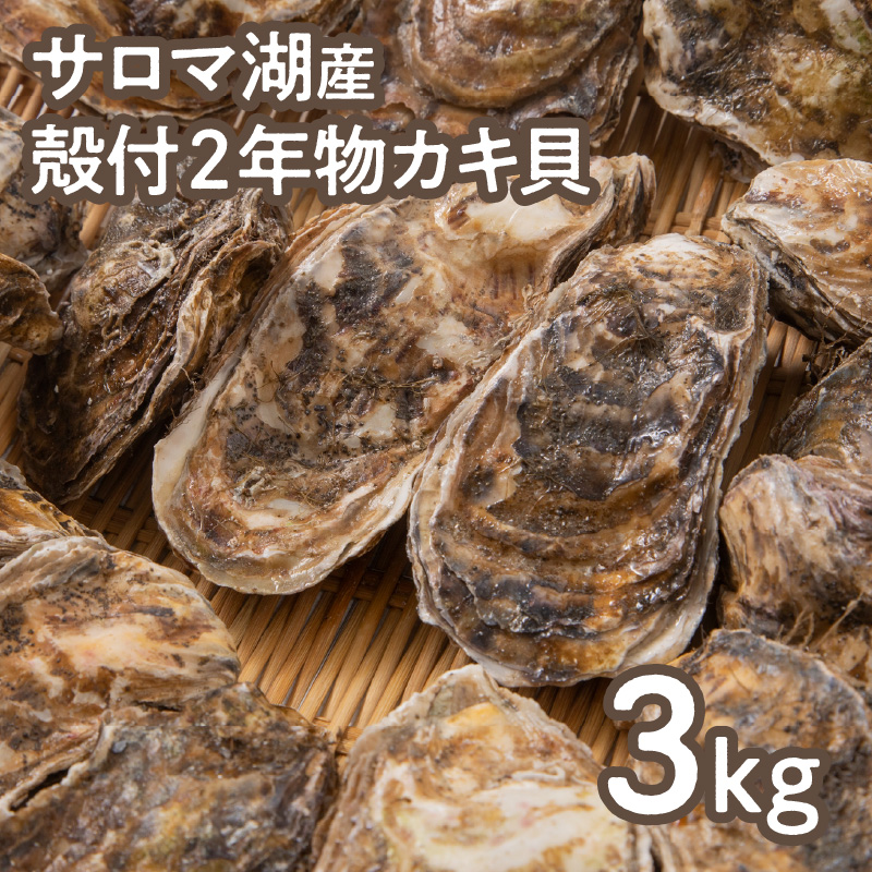 【予約：2026年10月より順次発送】【カキナイフ付】海のミルクサロマ湖産殻付2年物カキ貝 3kg 20～30個入 ( 海鮮 貝 牡蠣 カキ お祝い 熨斗 BBQ )【031-0017-2026】