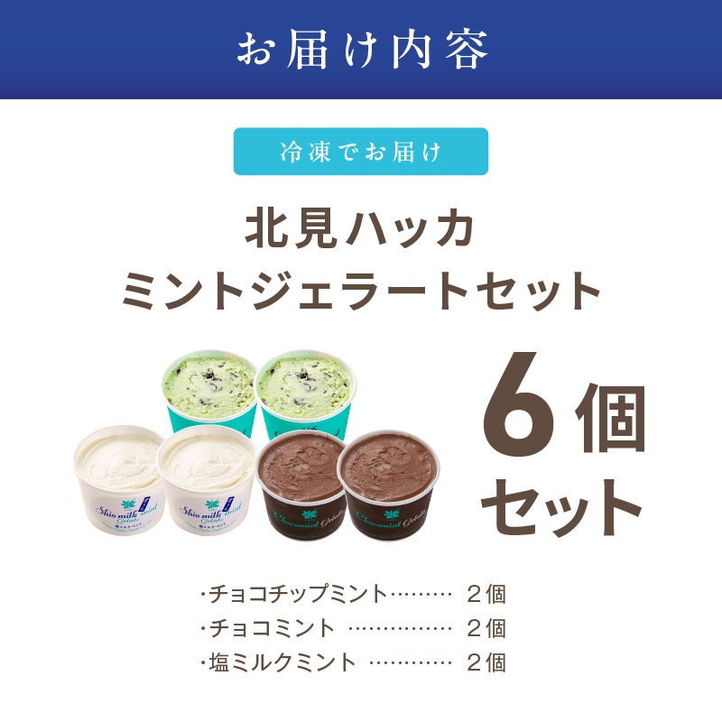 ミントジェラート カップ 3種×2個 ( ジェラート アイス アイスクリーム ハッカ チョコ ミント ミントアイス スイーツ チョコチップミント カカオ カップアイス ふるさと納税 )【007-0010】