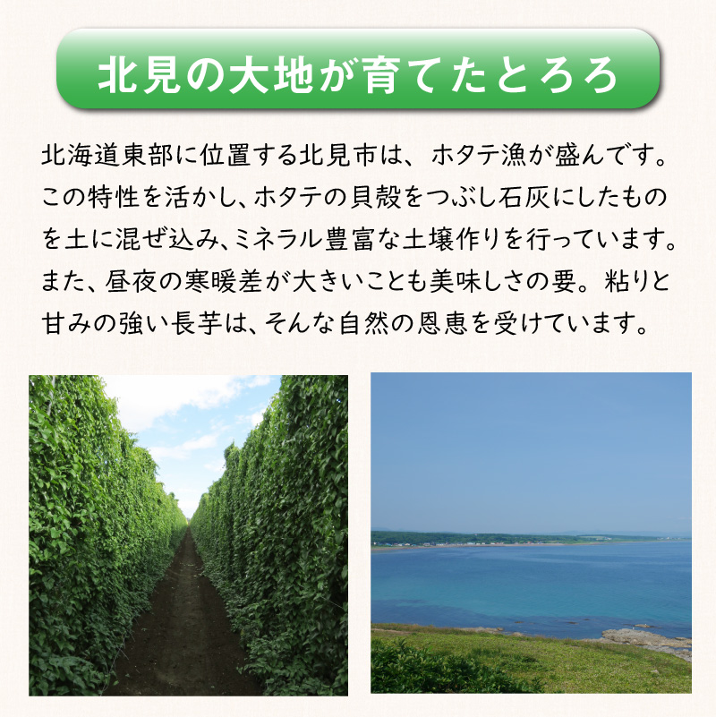 ところのとろろ 3個入り ( 長芋 長いも すりおろし 手作業 数量限定 国産 とろろ蕎麦 ご飯  常呂 )【121-0012】