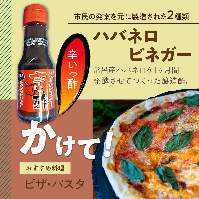 酢4本とおにおんスパイス1本 ( 酢 お酢 玉葱 タマネギ たまねぎ オニオンスパイス セット )【117-0003】