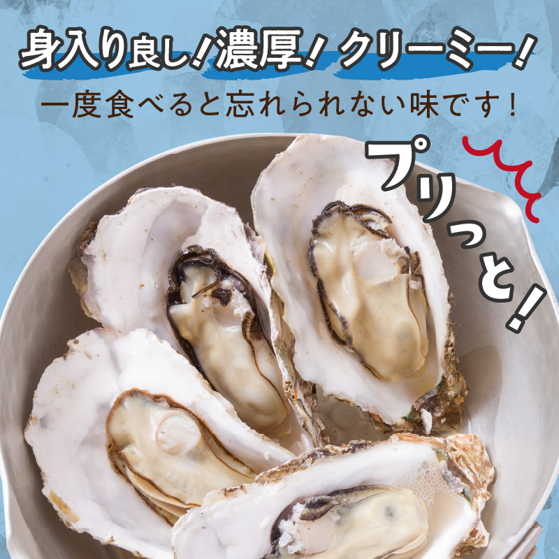 【予約：2026年10月中旬から順次発送】サロマ湖自慢の殻付きカキ貝 大 3kg詰め ( 牡蠣 かき 濃厚 大きい 魚介類 貝類 殻付 殻付き牡蠣 BBQ バーベキュー )【114-0072-2026】