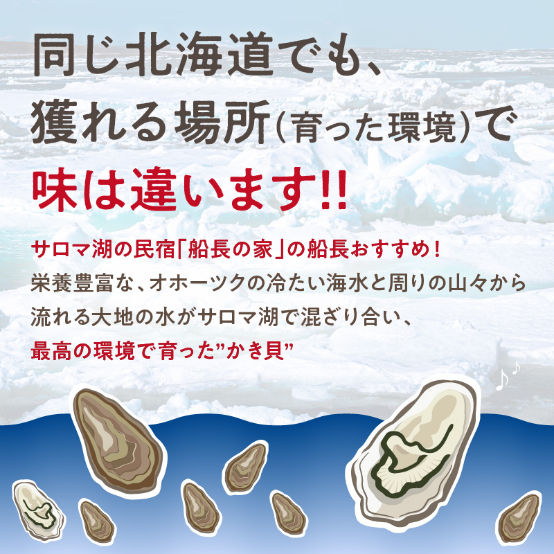 【予約：2026年10月中旬から順次発送】サロマ湖自慢の殻付きカキ貝 大 3kg詰め ( 牡蠣 かき 濃厚 大きい 魚介類 貝類 殻付 殻付き牡蠣 BBQ バーベキュー )【114-0072-2026】
