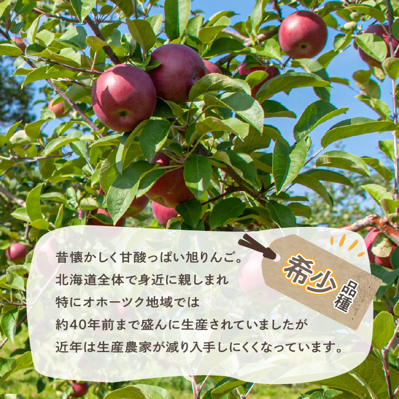 旭りんごのシードル 4本 ( 飲料 お酒 酒 アルコール 果物 フルーツ 林檎 りんご リンゴ 旭林檎 あさひりんご 旭りんご シードル )【044-0008】