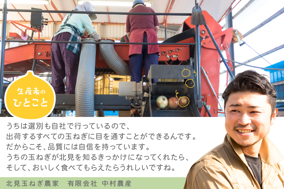 【予約：2026年10月から順次発送】北海道北見産 玉ねぎ 20kg ( 玉ねぎ 野菜 たまねぎ タマネギ 玉葱 甘い 20キロ ハンバーグ 肉じゃが ふるさと納税 玉ねぎ )【002-0005-2026】