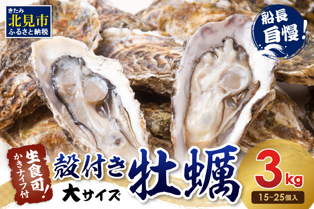 サロマ湖自慢の殻付きカキ貝 大 3kg詰め ( 牡蠣 かき 濃厚 大きい 魚介類 貝類 殻付 殻付き牡蠣 BBQ バーベキュー )【114-0072-2025】