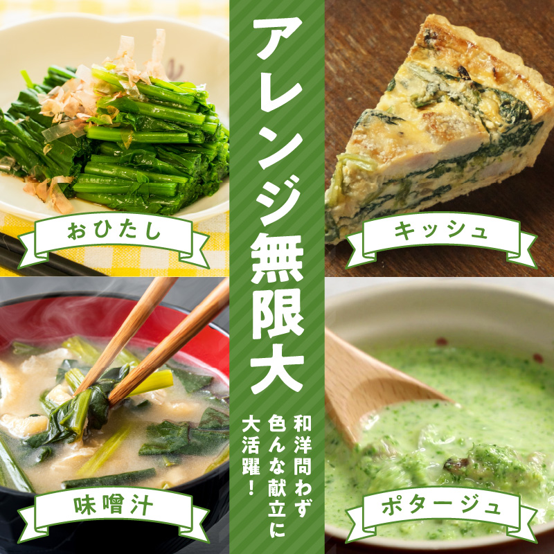 【予約：2026年6月中旬から順次発送】北海道北見産 朝採れ ほうれん草 1kg 200g×5袋 ( 新鮮 採れたて ホウレンソウ ほうれんそう ハウス栽培 )【164-0008-2025】