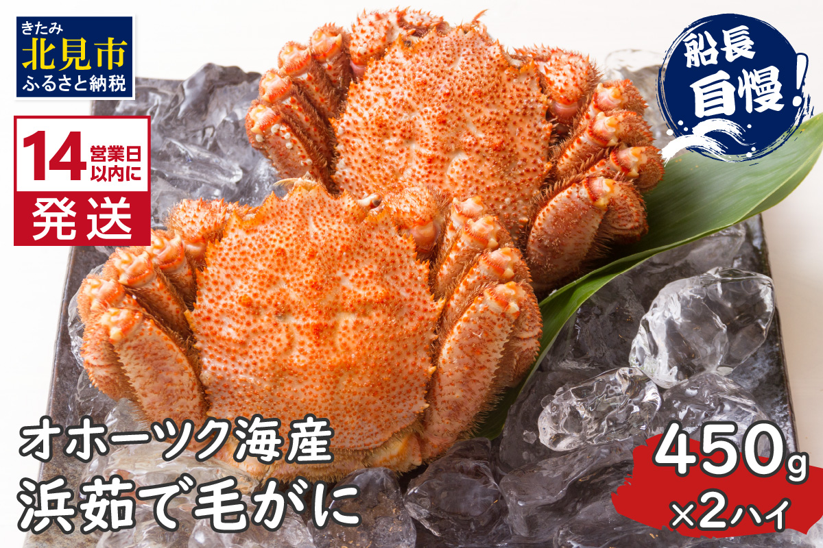 《14営業日以内に発送》オホーツク海産 浜茹で毛がに 450g×2ハイ 冷凍 ( かに カニ 毛ガニ 魚介類 蟹 )【114-0031-2025】